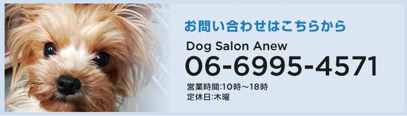 お問い合わせはこちらから 06-6995-4571 Dog Salon Anew ドッグサロン アニュー 大阪府門真市、大日にあるトリミングサロン＆ペットホテル